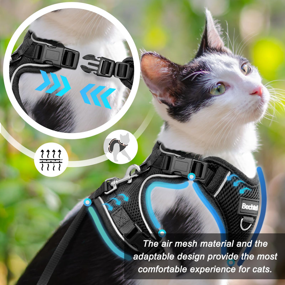 BECHTEL correa para gatos ideal para uso diario y exploración