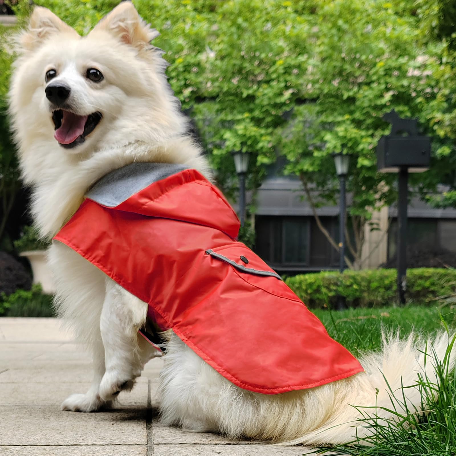 BECNBEAU capa de lluvia para perro diseño ultraligero para libertad de movimiento.
