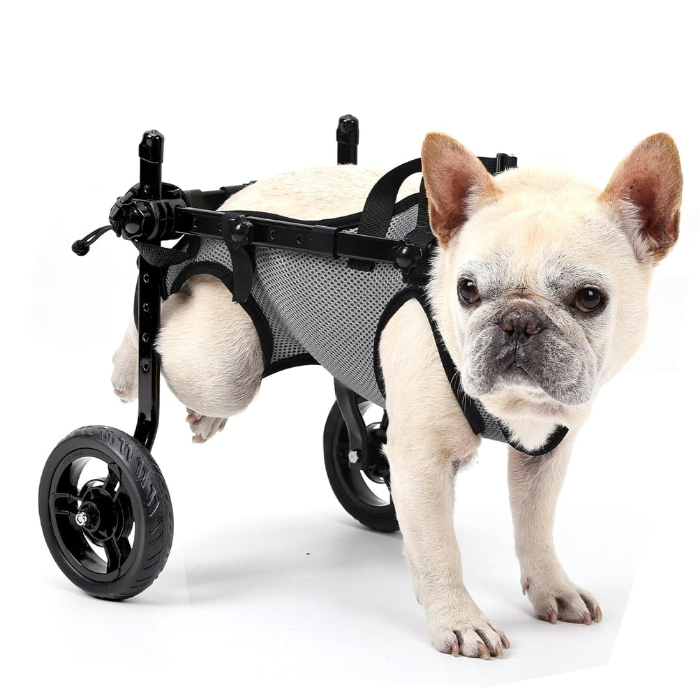 Silla de ruedas BECROWM para patas traseras facilita movilidad diaria