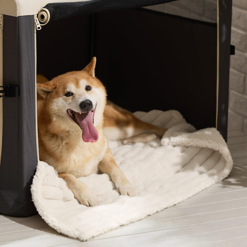 Bedsure sensación acogedora manta para perros grandes, confort diario.