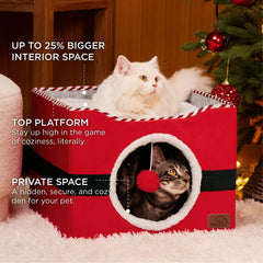 Bedsure bola-colgante-peluche, entretenimiento suave para felinos.