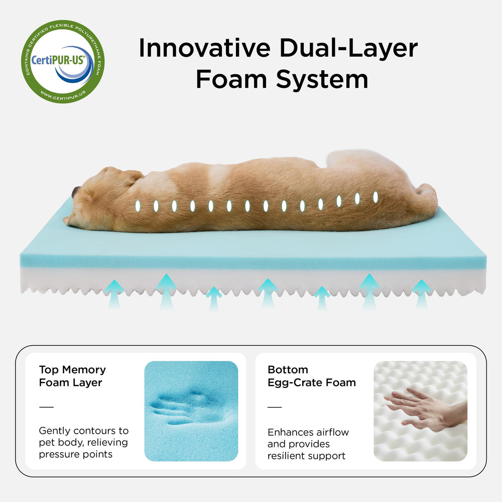 Bedsure cama ortopédica para perros con funda lavable para limpieza.
