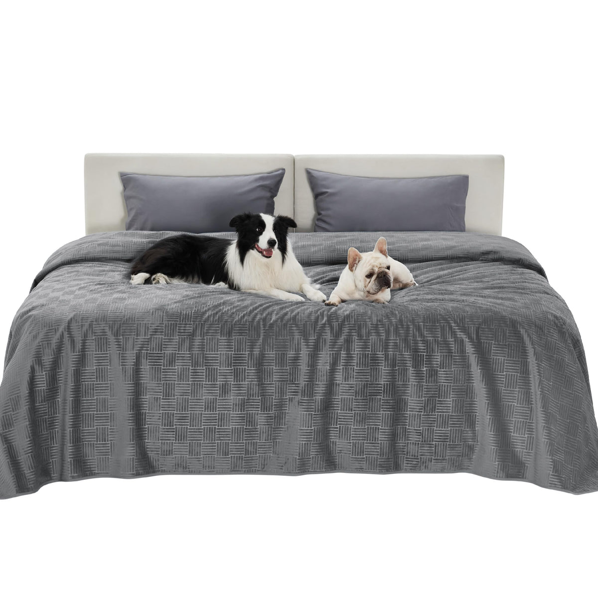 Bedsure cobija impermeable para perros sobre cama extragrande ofrece protección contra derrames.