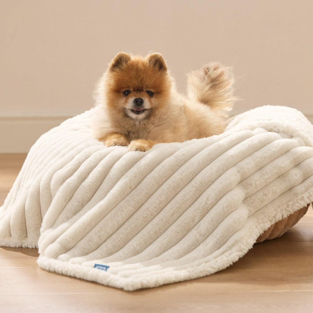 Bedsure manta para mascotas pequeñas 25x35 cerca del sofá
