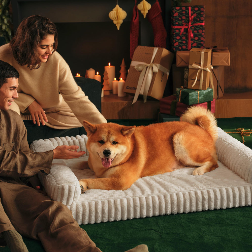 Bedsure ComfyFleece: diseño minimalista crema que se integra al hogar.