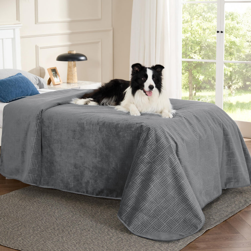 Funda impermeable Bedsure para muebles, gris ceniza, protege ante derrames de mascotas sin manchar.