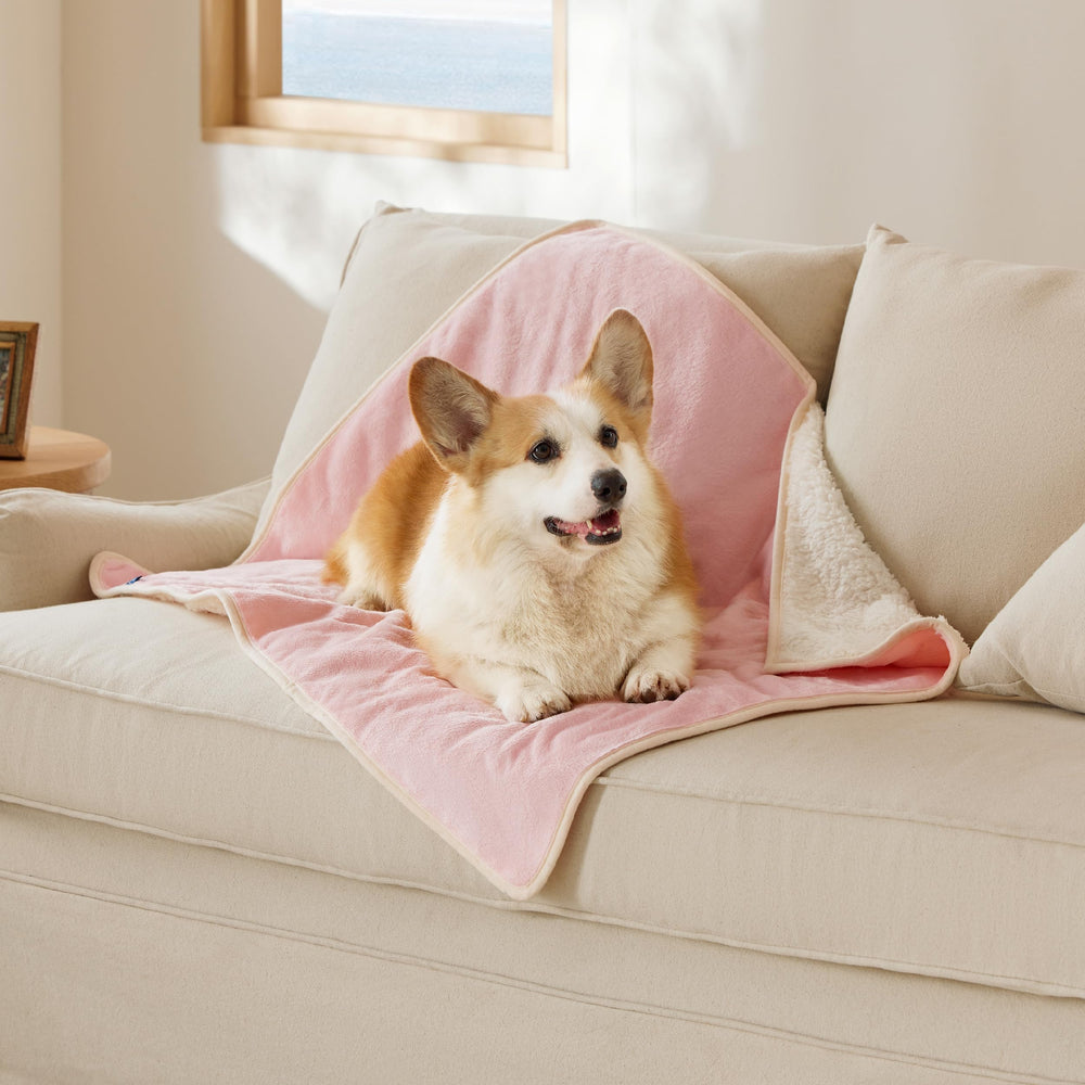 Bedsure manta impermeable para gatos protege el sofá de derrames y pelaje