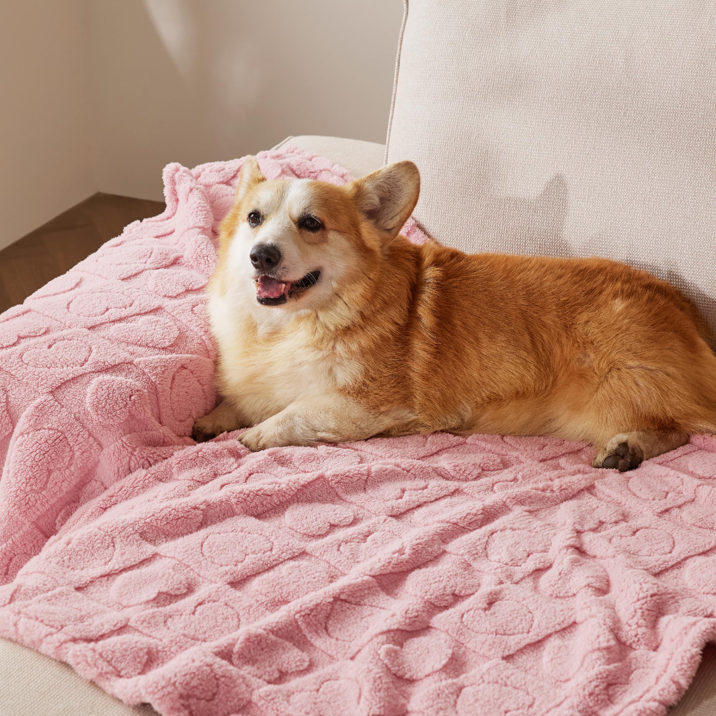 Bedsure manta para perro grande rosa, felpa coral suave para mayor confort.