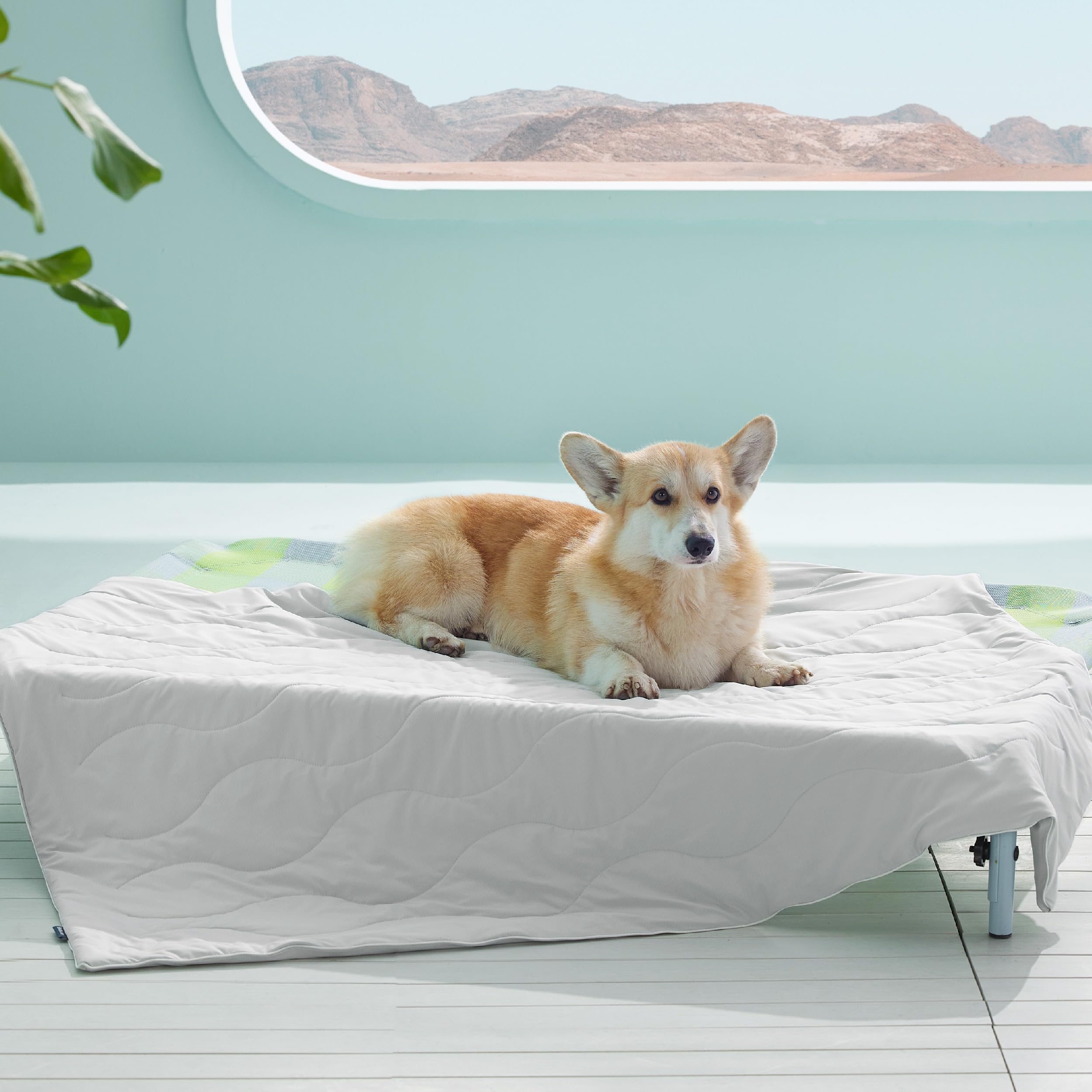 Bedsure manta refrigerante para perros grandes, vista frontal, ideal para días cálidos.