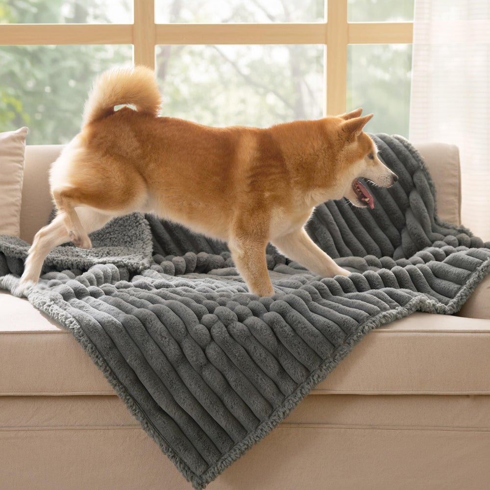 Dimensiones 102 x 127 cm ideal para perros grandes