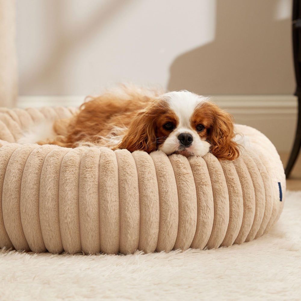 Bedsure Cama para Perro: felpa suave que invita a acurrucarse.