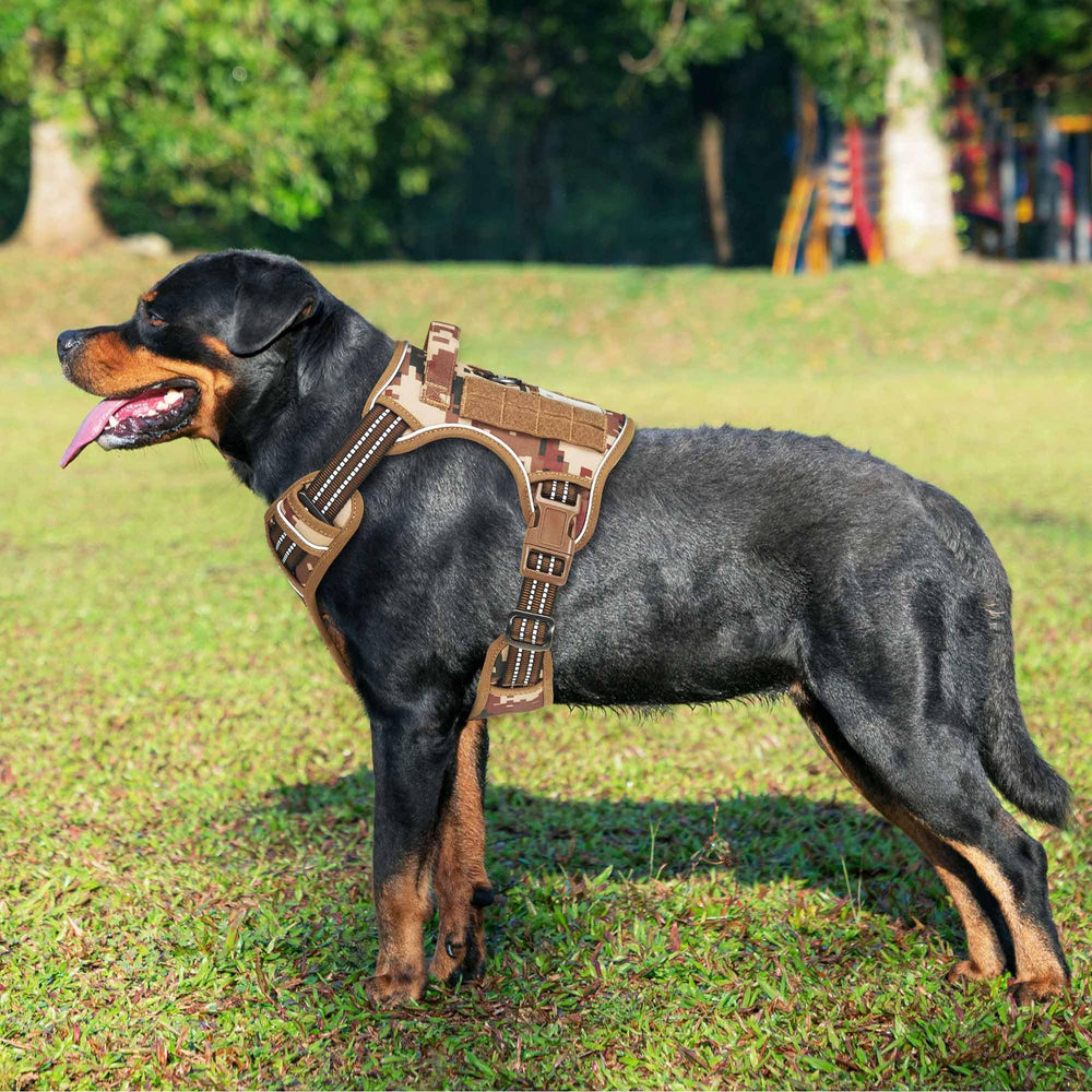 Beebiepet arnés táctico para perros grandes sin tirones, control cómodo