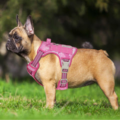 Beebiepet arnés de cuatro puntos con ajuste cómodo para un encaje perfecto.