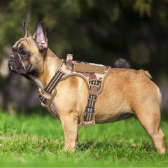 Arnés Beebiepet con ajuste de cuatro puntos, diseño cómodo para perros activos