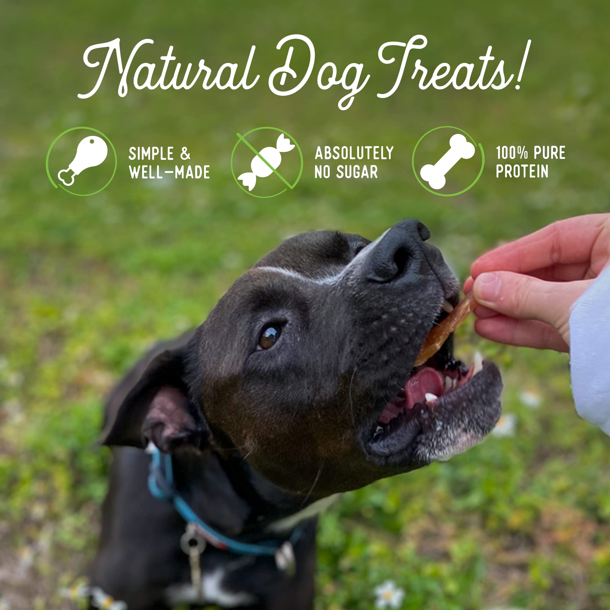 Alimento natural Beg & Barker para perros sin granos.