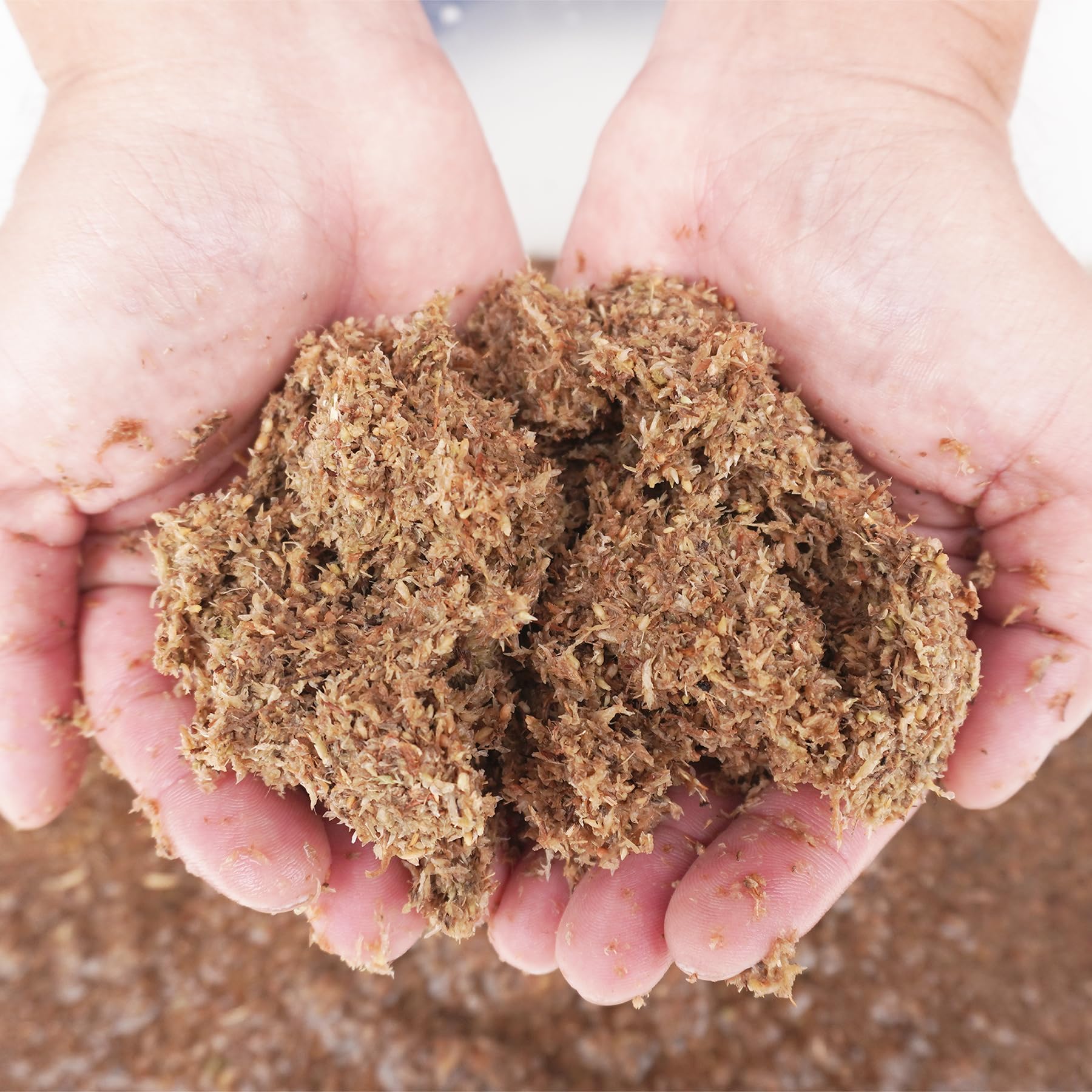 Begeterday sustrato musgo esfagno, biodegradable y compostable para terrarios y jardinería.