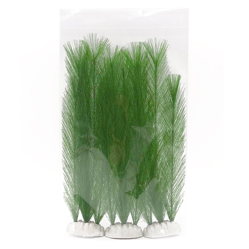 BEGONDIS plantas de acuario: paquete de 3 piezas para ambiente natural.