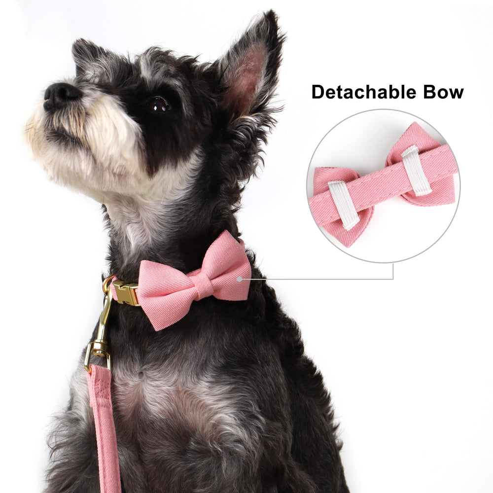 Beirui correa de 5 pies para perro pequeño con manejo cómodo
