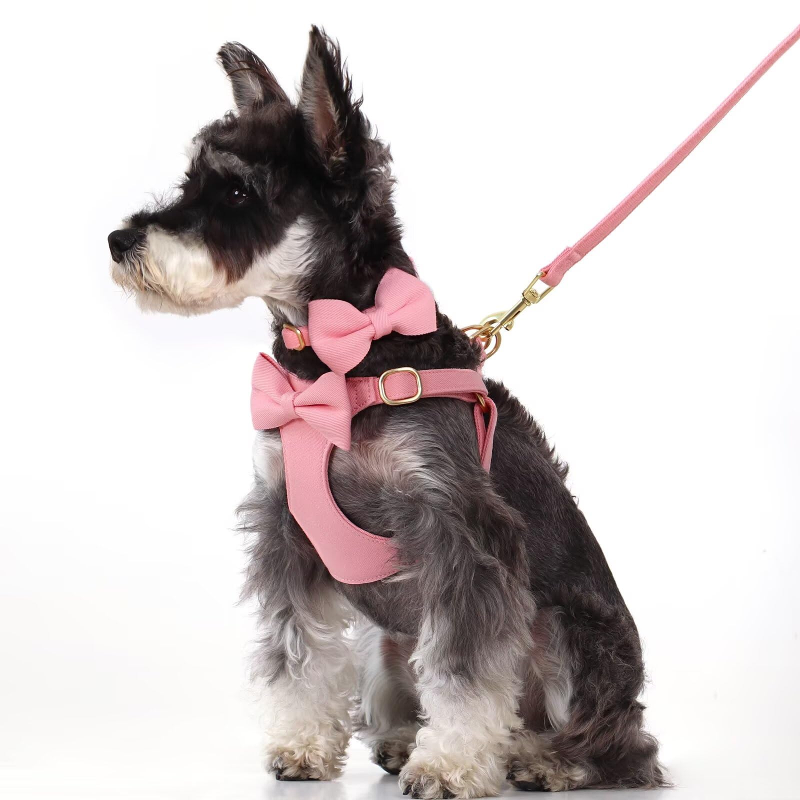 Beirui diseño con tres lazos para estilo diario de tu mascota