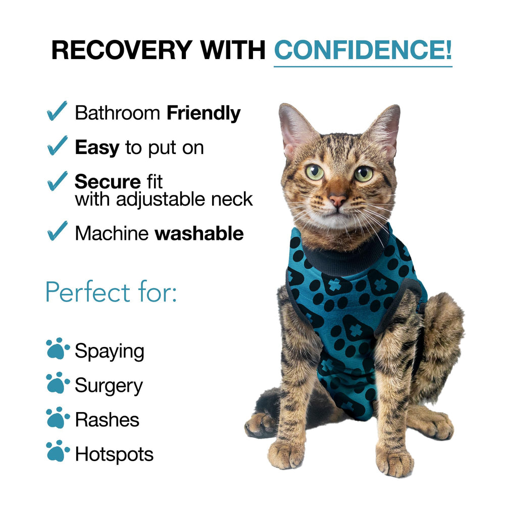 BellyGuard alternativa cono gato: solución suave para la recuperación sin molestia.