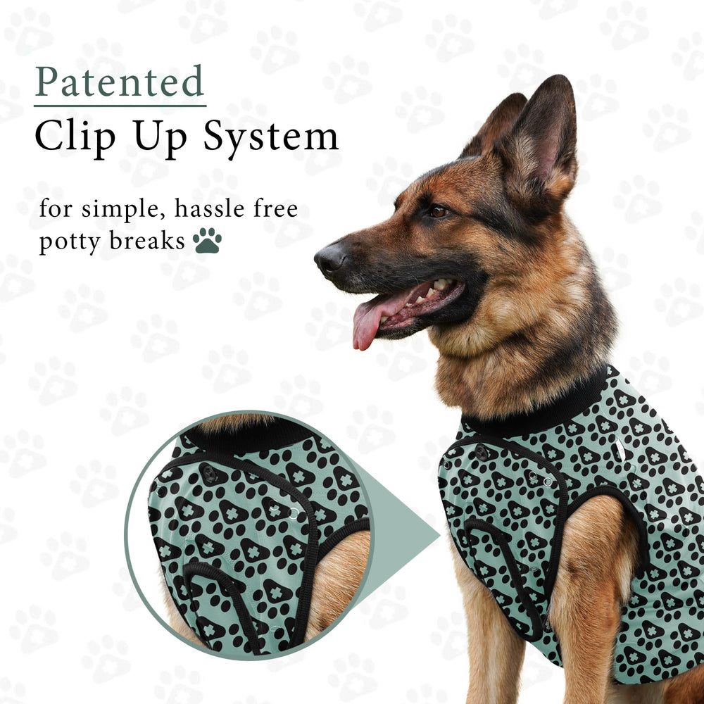 BellyGuard bodysuit para perros facilita la tranquilidad durante la recuperacion