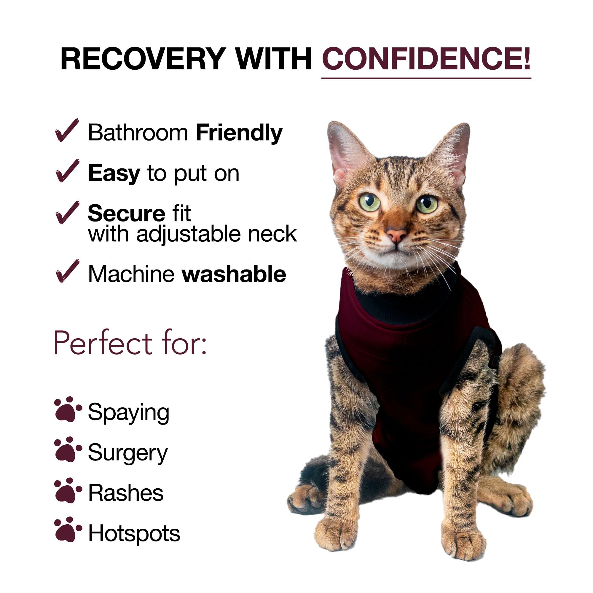 BellyGuard complemento antiestres gato: confort y seguridad durante la recuperación