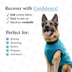 BellyGuard diseño fácil de colocar para recuperación canina tras cirugía.