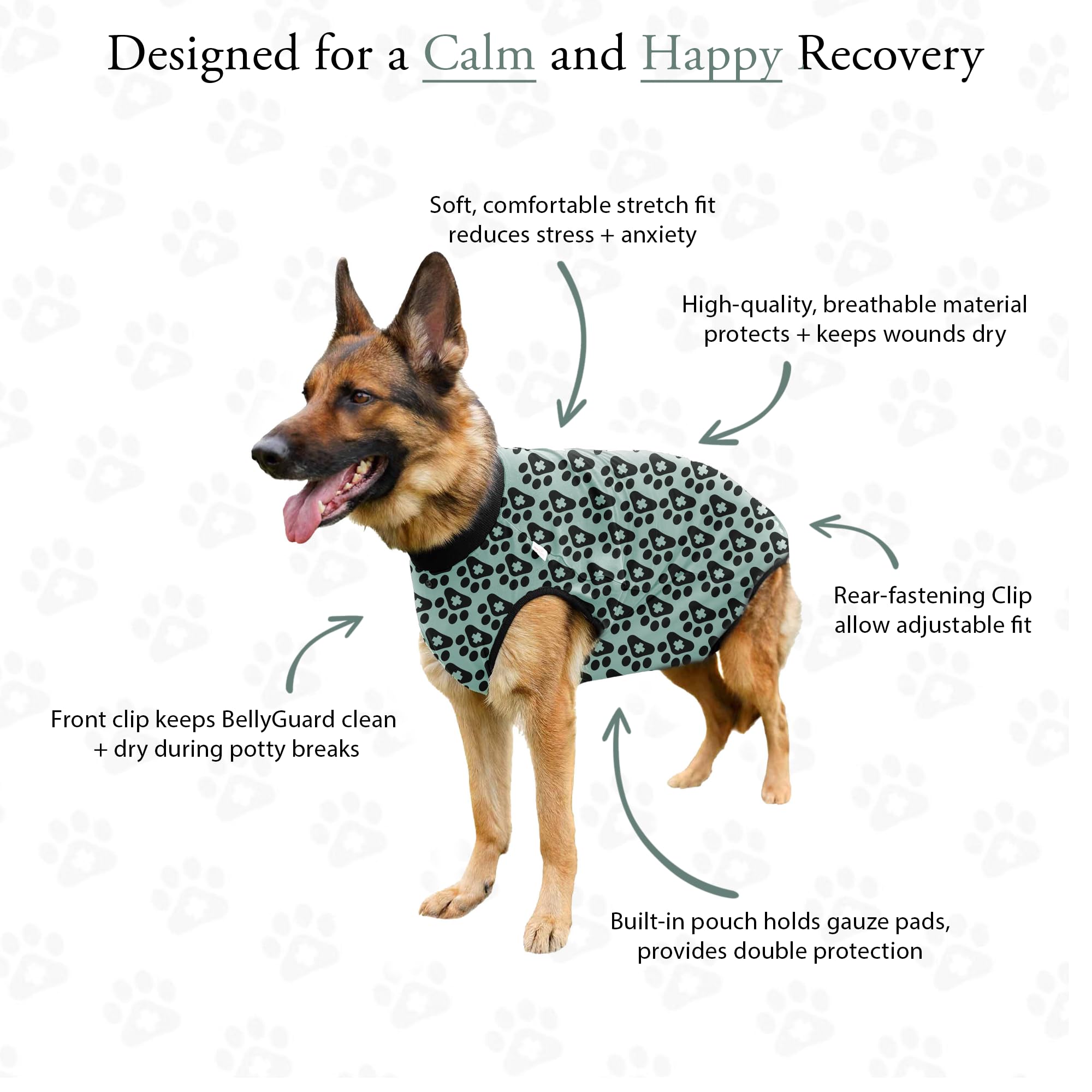 BellyGuard diseño conertector y confort para la recuperacion canina