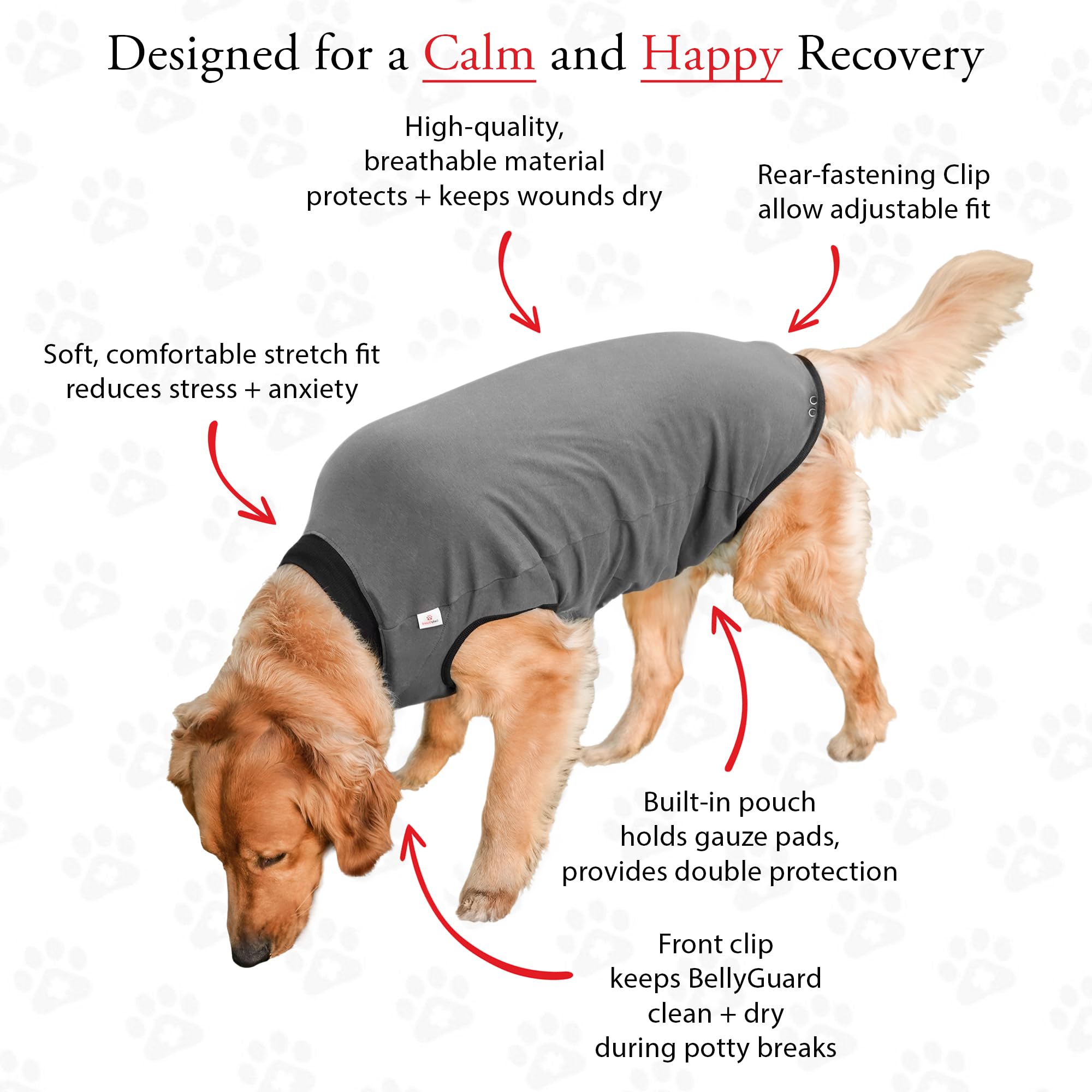 BellyGuard diseno facil de usar postoperatorio para perro, practica durante revisiones