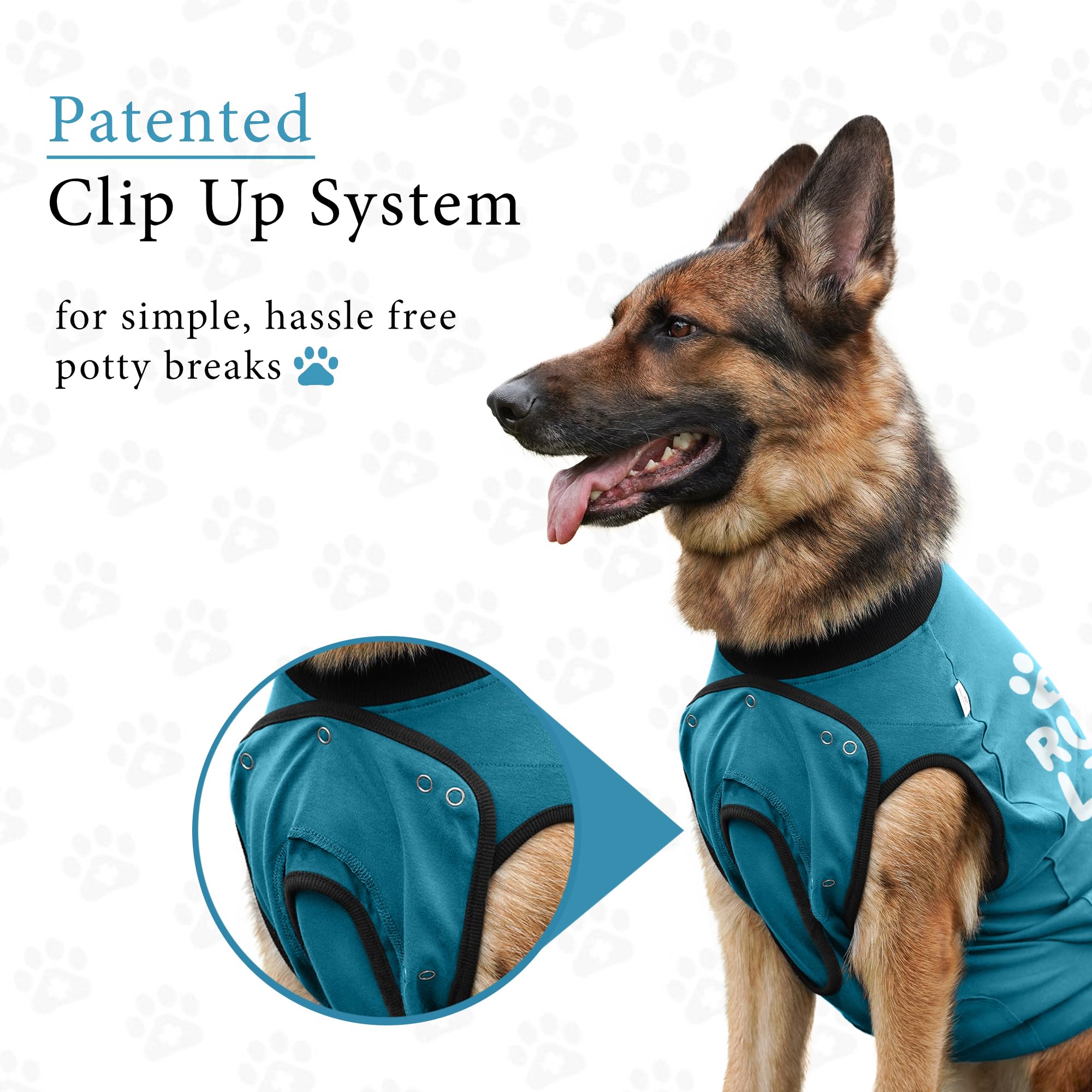 BellyGuard material suave y transpirable para perros en recuperación.