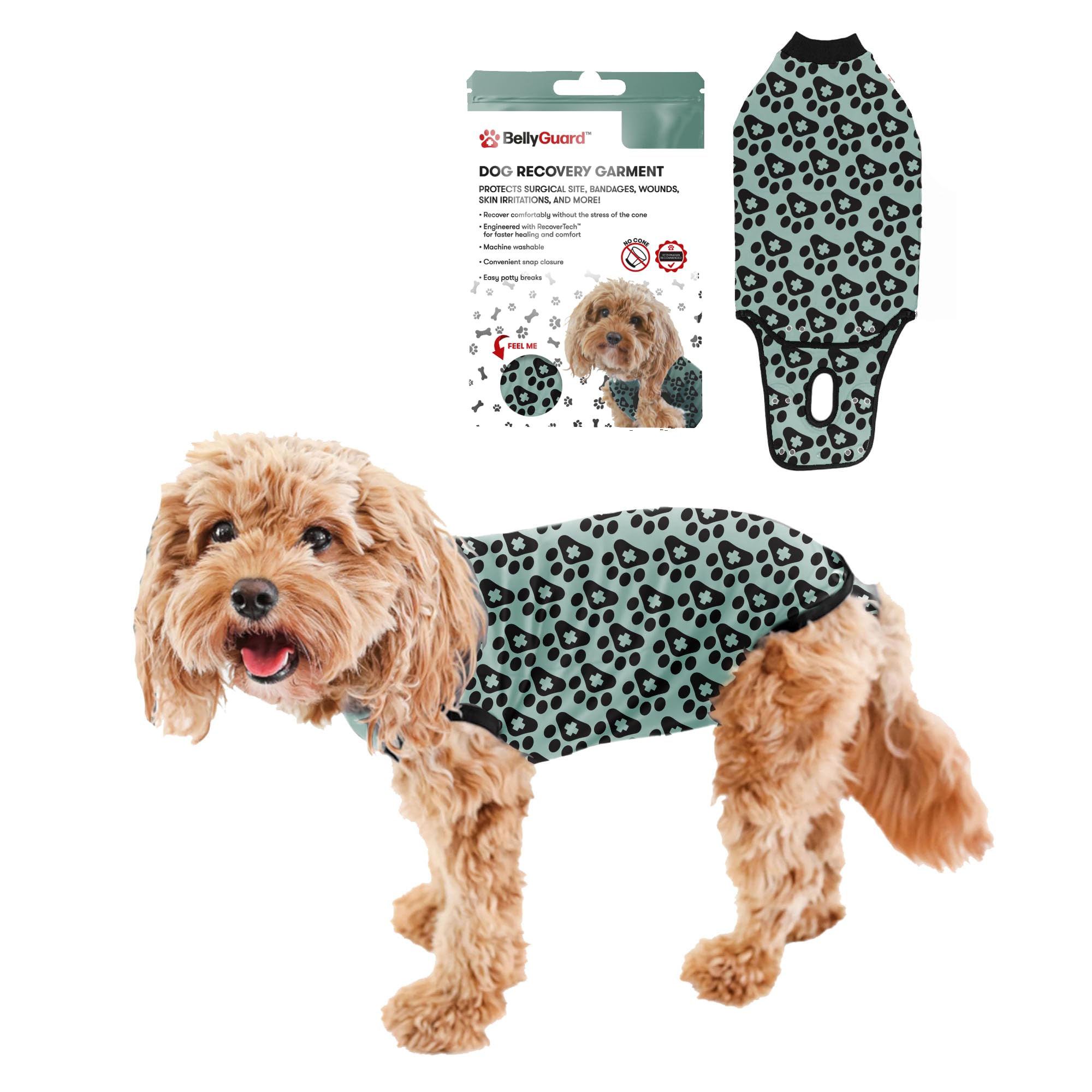 BellyGuard mono postoperatorio para perro, protege suturas y brinda comodidad.