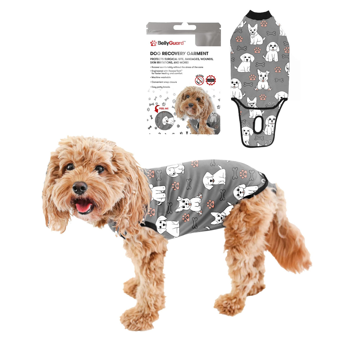 BellyGuard mono de recuperación para perro visto de frente, cómodo para el postoperatorio.