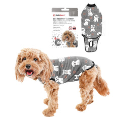 BellyGuard mono de recuperación para perro visto de frente, cómodo para el postoperatorio.