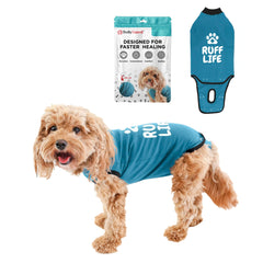 BellyGuard mono recuperación para perro tras cirugía, protege suturas sin limitar el movimiento.