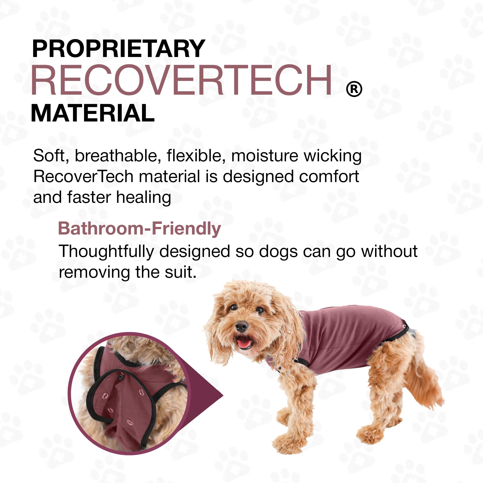 BellyGuard evita lamidos y arañazos sin restringir comer, dormir o caminar