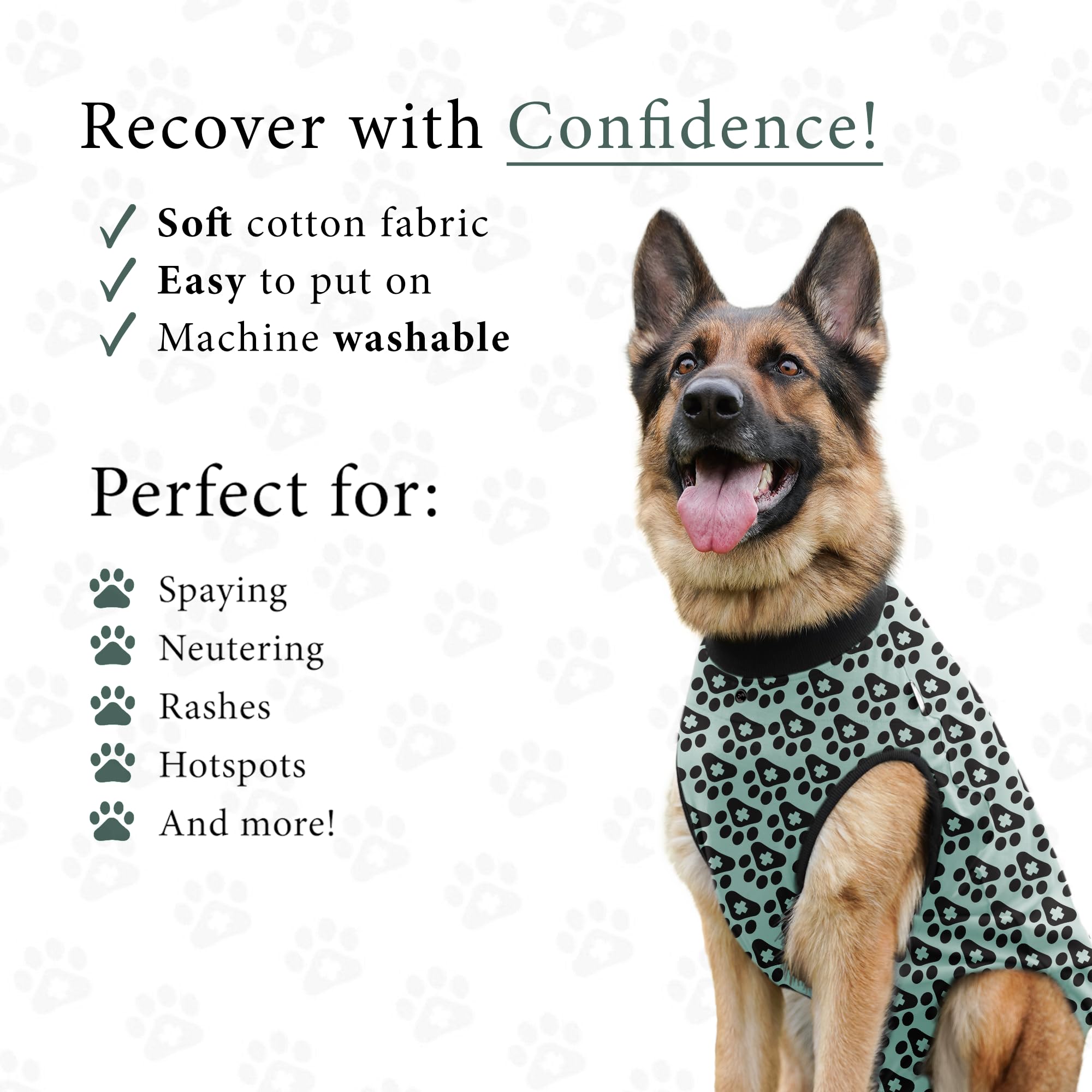 BellyGuard prenda postoperatorio de uso facil para perro