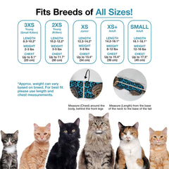 BellyGuard protección cirugias gato zona: protege zonas quirúrgicas durante la recuperación.