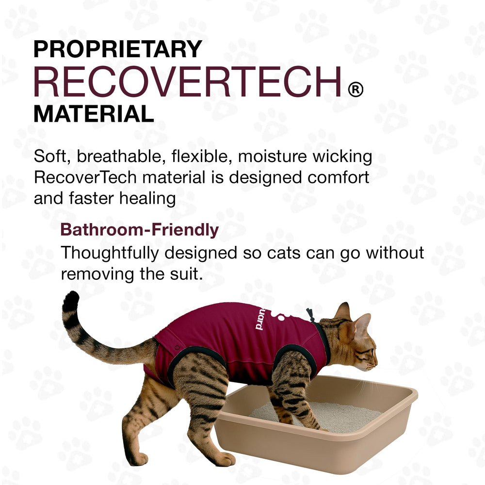 BellyGuard protección zona cirugía gato: cobertura para áreas sensibles