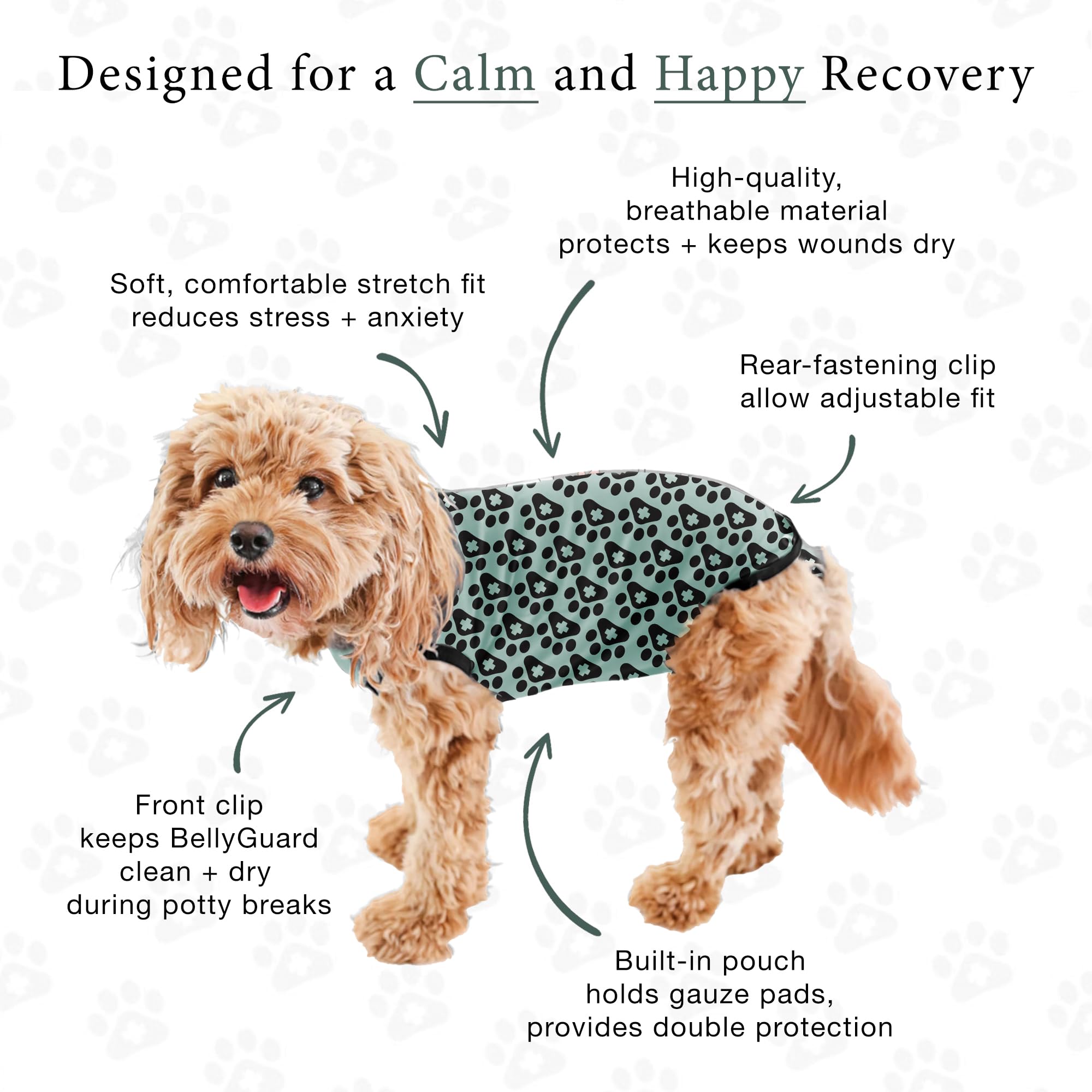 BellyGuard ropa suave y transpirable para perros ansiosos.