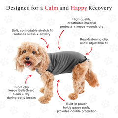 BellyGuard, suéter postoperatorio para perro con cierre seguro trasero, fácil de poner.