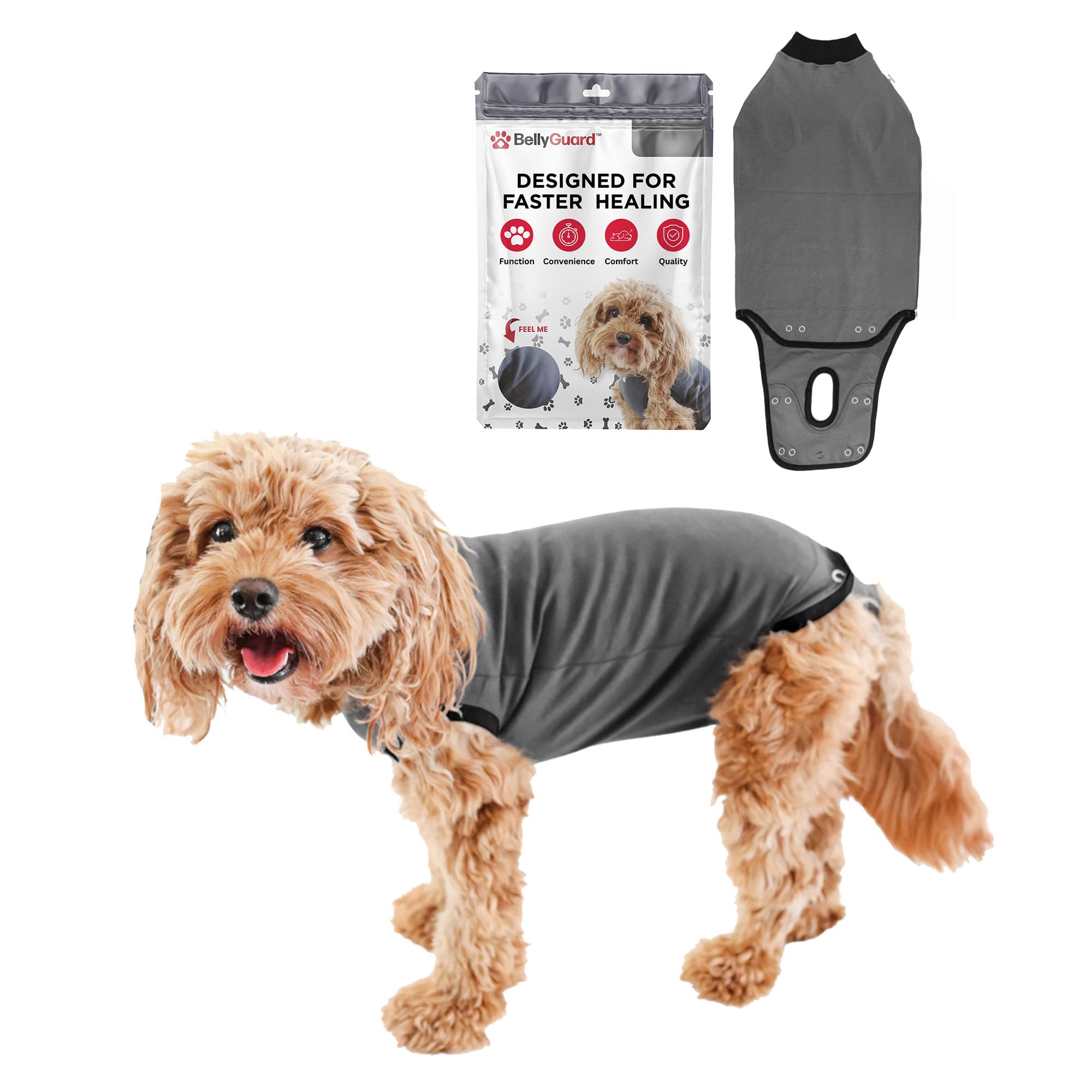 BellyGuard, traje de recuperación para perro visto de frente, protege suturas sin restringir movimiento.