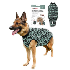 BellyGuard traje de recuperacion cubre la parte frontal del perro y protege suturas