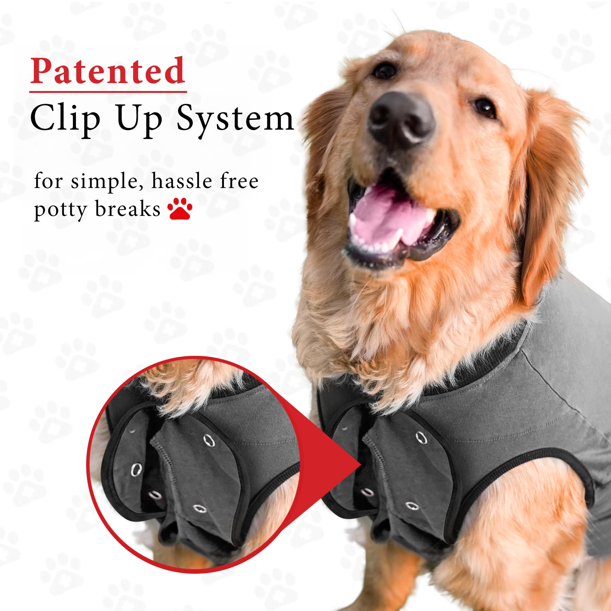 BellyGuard tela suave y transpirable para recuperacion despues de cirugia en perro