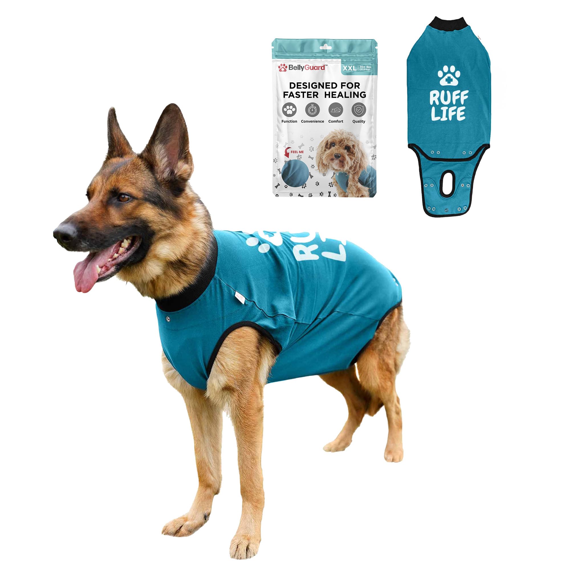 BellyGuard traje de recuperación para perro postoperatorio, comodidad sin cono durante la curación.