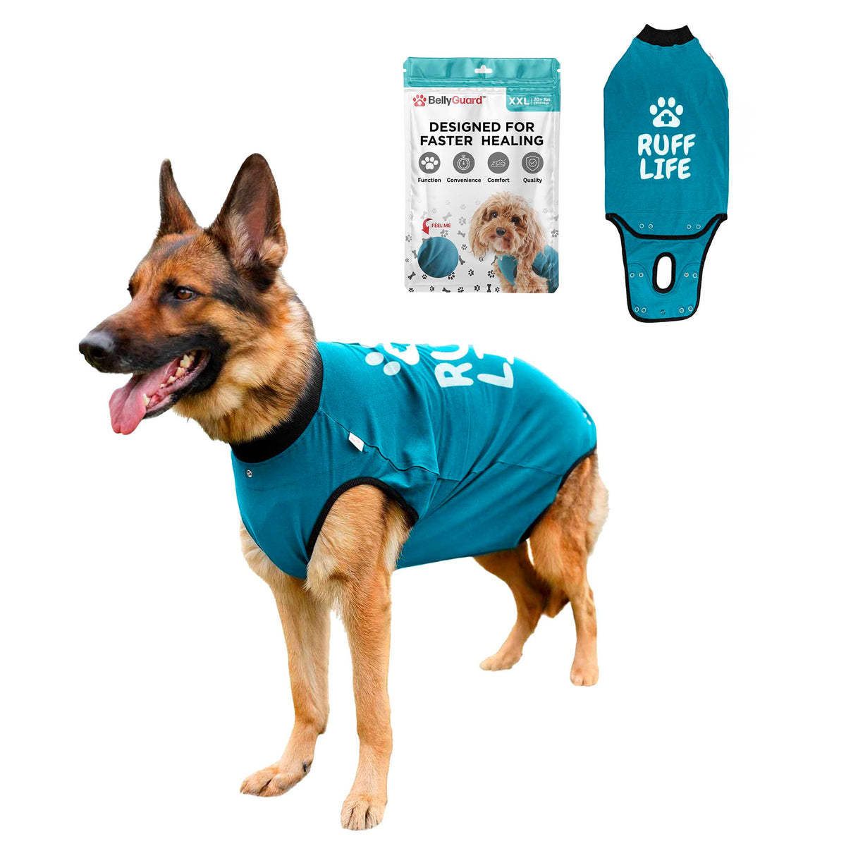 BellyGuard traje de recuperación para perro postoperatorio, comodidad sin cono durante la curación.