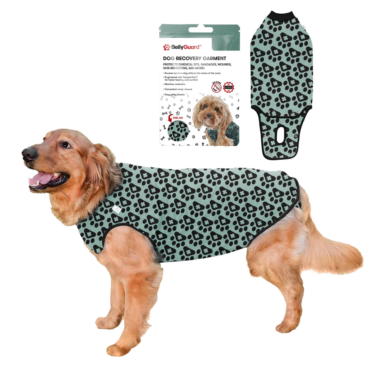 BellyGuard traje de recuperación para perro, frente, protege suturas sin limitar movimientos