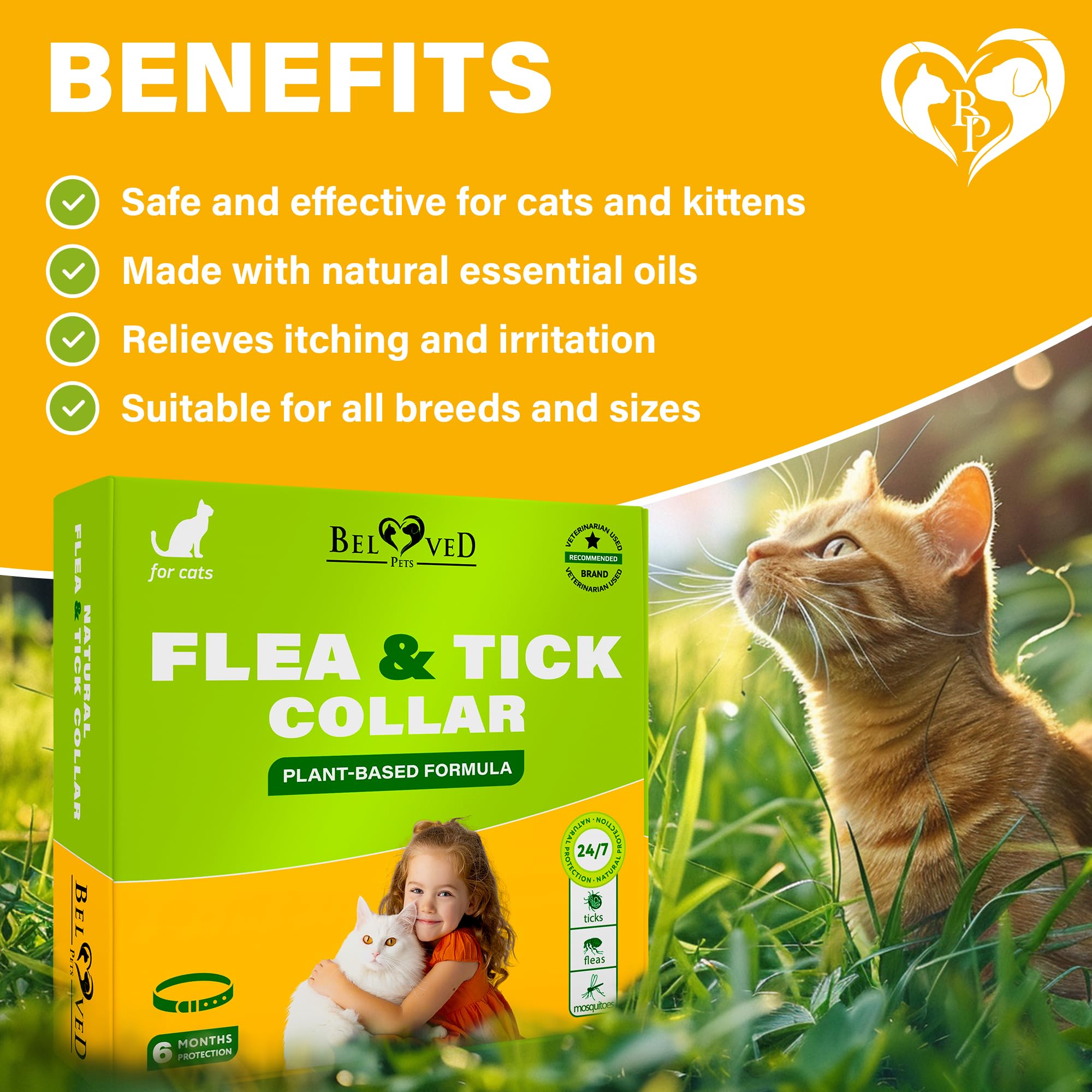 Beloved Pets collar para gatos resistente al agua para uso diario