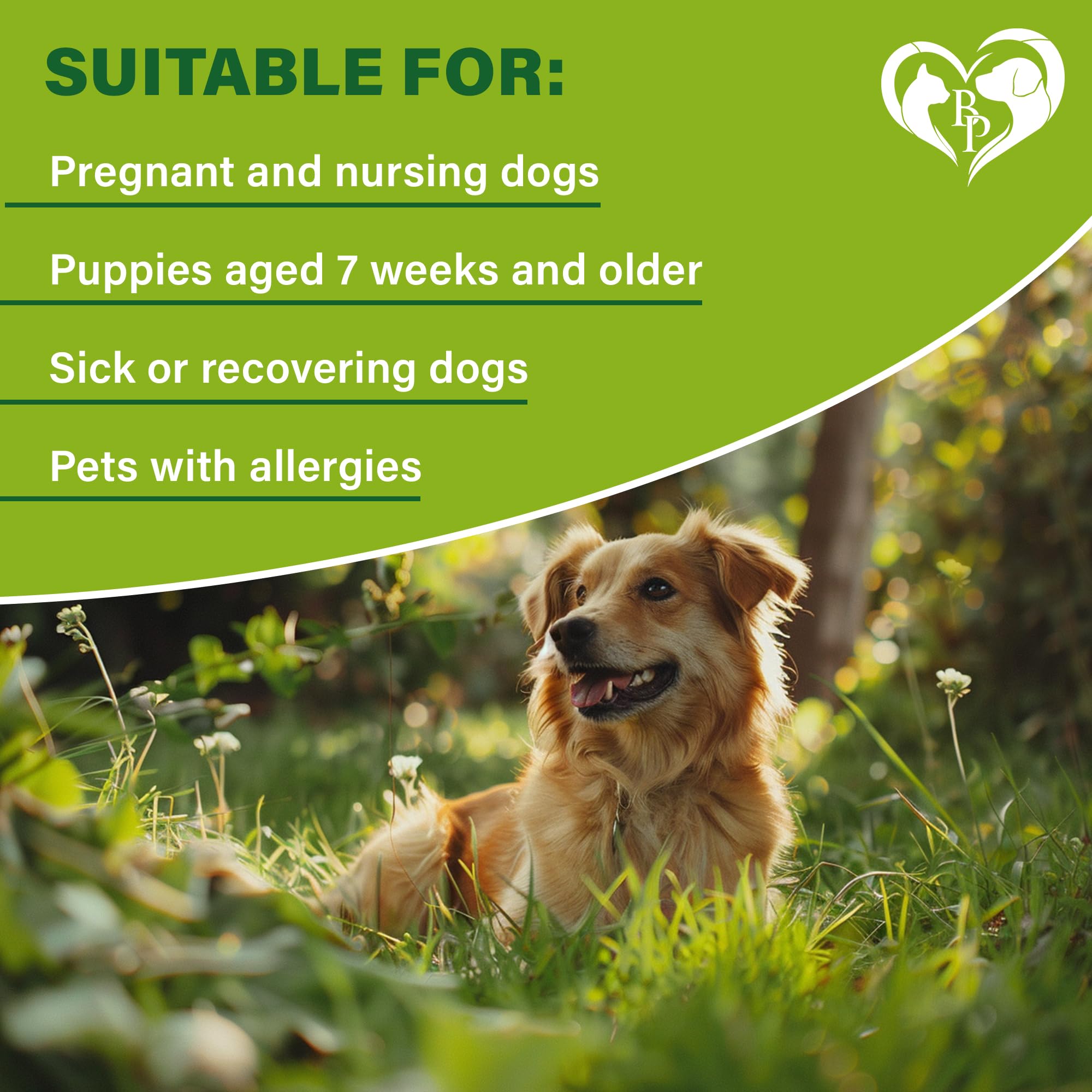Beloved Pets collar aceites naturales, aroma suave para experiencia natural.