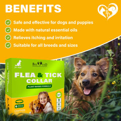 Beloved Pets collar cierre seguro, fácil de colocar y quitar.