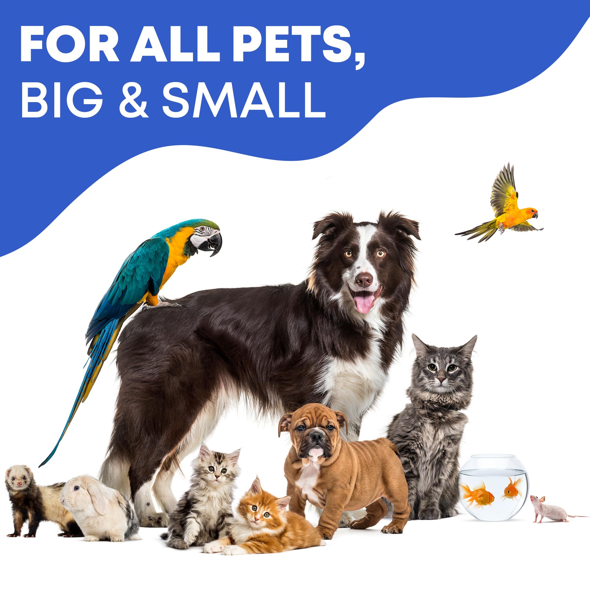Beloved Pets: cuidado ocular para mascotas pequeñas, uso seguro.